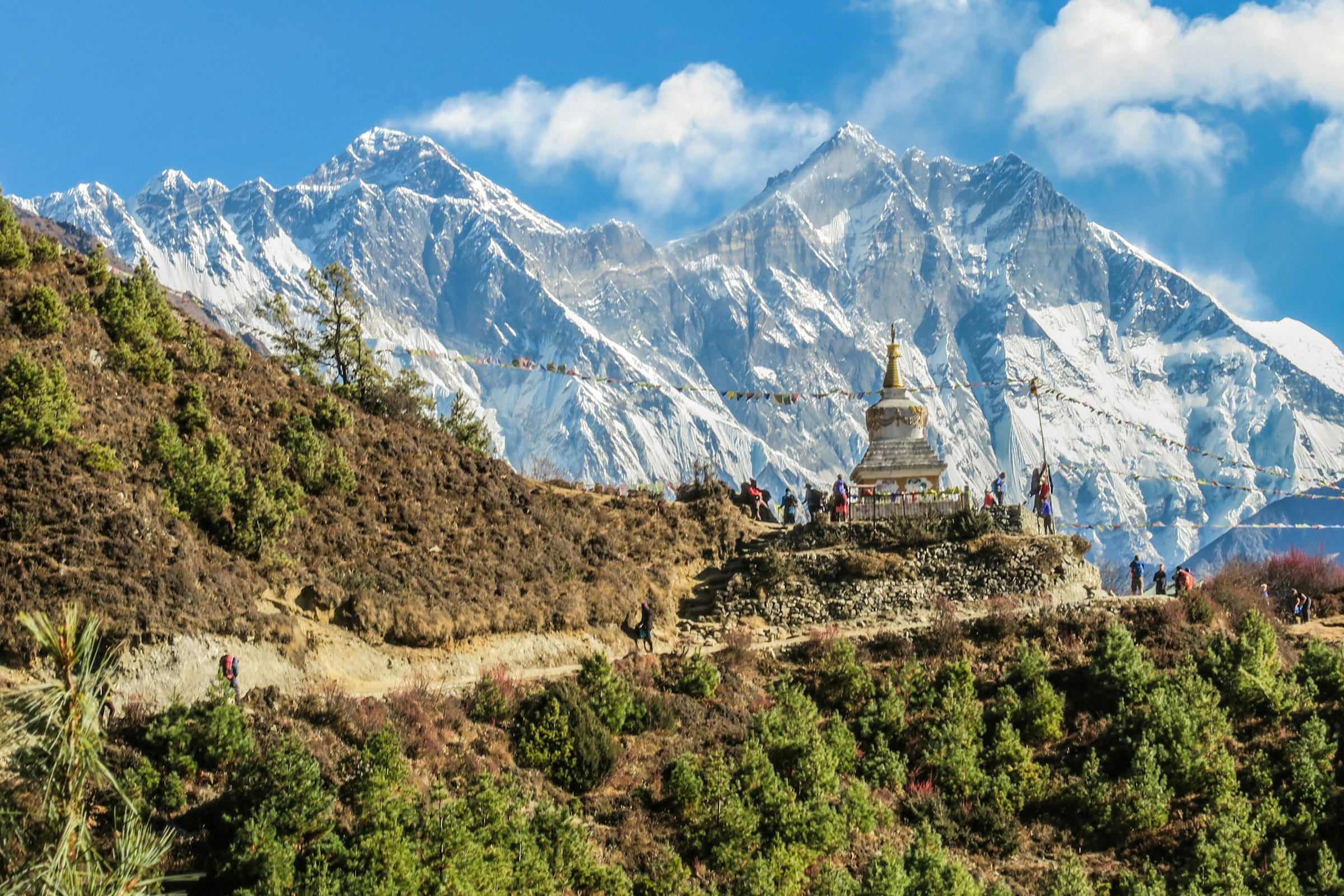 Himalayan hills and forest